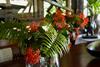 Bed & Breakfast Luna House Moyo Wa Dunia Ltd
