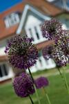 Agroturismo Park House Hotel
