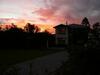 Holly Homestead B&B