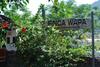 Apartamentos Finca Wapa