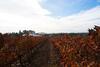 Agroturismo Herdade Da Calada
