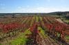 Hostal Herdade Do Sobroso Country House
