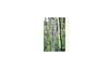 Holiday Home Vare Bodafors III