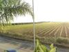 B&B La Vigna
