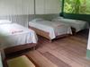 Jungle Explorer Lodge