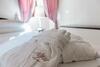 Bed & Breakfast N4u Guest House