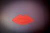 Il Giglio Rosso - B&B