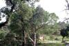 Agroturismo Coudelaria Vale Pau