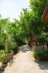 Bed & Breakfast L' Arancio In Fiore