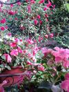 Bed & Breakfast La Villetta