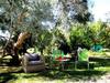Bed & Breakfast Chambres D'h�tes Au Domaine Des Maynardes