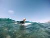 Albergue Twinfin Surf Camp