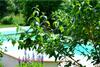 Agroturismo Grandmont Gites