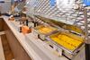 Hotel Quality Inn & Suites North Legoland Area