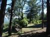 Bed & Breakfast Villa Sant'uberto Country Inn