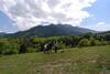 Villa Farmhouse Rosehip Romania Brasov