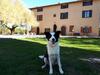 Apartamento Agriturismo Villa Mozart
