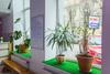 Avino Apart - Hostel