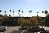Hotel Alamo Inn And Suites - Convention Center