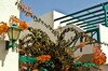 Apartamentos Celeste