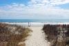 Apartamento Ocean Forest 1611