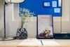 Hanoi Brilliant Hotel And Spa