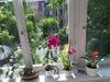 Apartamentos Kernerapartement