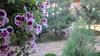 Hostal Villa Sosnovy Bor