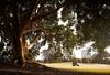 Hotel Racv Royal Pines Resort