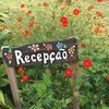 Hostal Pousada Flores Do Campo
