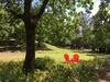 Amitabha Wine Country Cottage