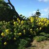 Hostal Yelki By The Sea B&B