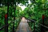 Nayara Hotel Spa And Gardens