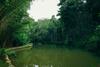Hotel Bamboo Creek Resort