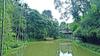Hotel Bamboo Creek Resort