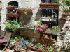 Cozy Garden