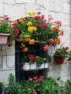 Cozy Garden