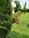Apartamento B&B Terra Del Sole