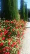 Apartamento B&B Terra Del Sole