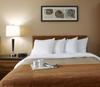Hotel Comfort Inn South Shore-boucherville